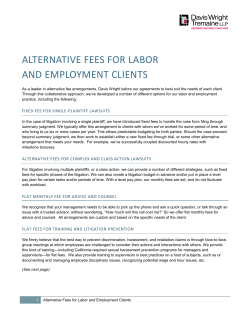 alternative fees for labor and employment clients