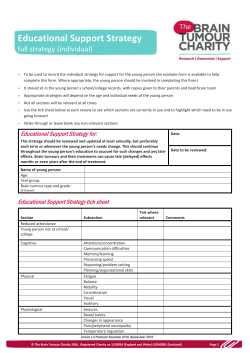 Educational support strategy