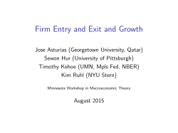 Firm Entry and Exit and Growth