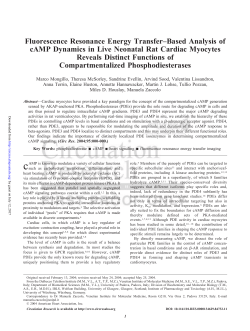 Fluorescence Resonance Energy Transfer&ndash;Based Analysis of cAMP