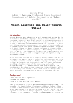 Strategies for reversing language shift and groundwork for language