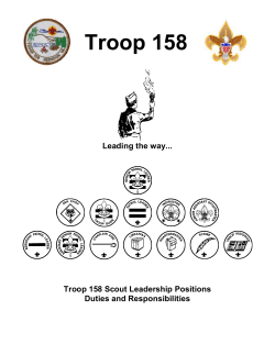 Patrol Leadership Council Positions