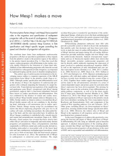 How Mesp1 makes a move - The Journal of Cell Biology