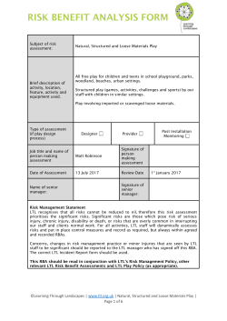 Play with Natural, Structured and Loose Materials Risk Assessment