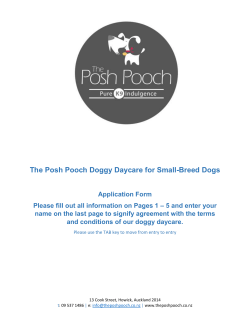 The Posh Pooch Doggy Daycare for Small