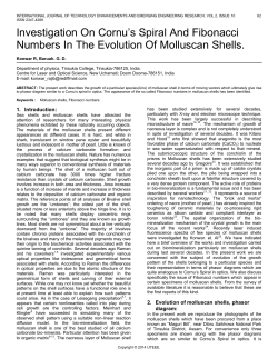 Investigation On Cornu`s Spiral And Fibonacci Numbers In The