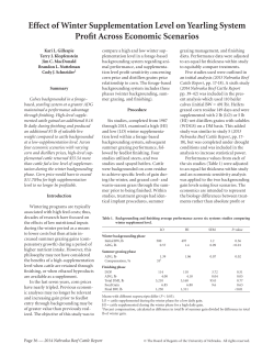 Effect of Winter Supplementation Level on Yearling System Profit