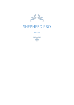 Shepherd Pro - Asher Rubinstein Game Design