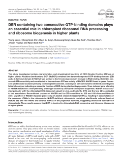 DER containing two consecutive GTP