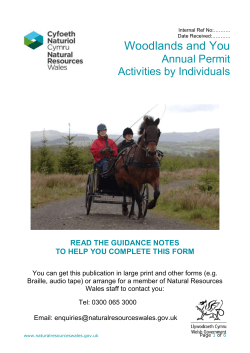 Individual Activities Form