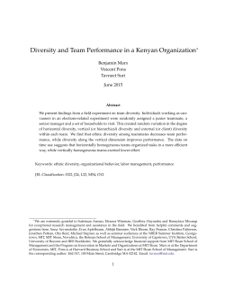 Diversity and Team Performance in a Kenyan