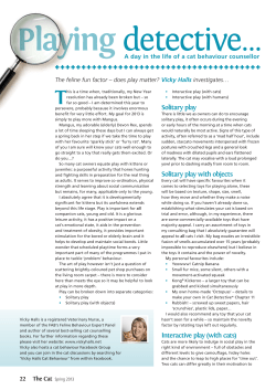 Solitary play Solitary play with objects Interactive play (with cats)