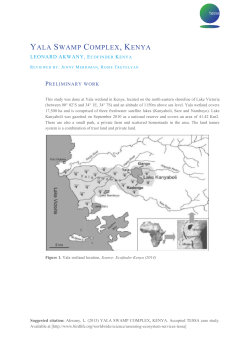 Yala Swamp Complex, Kenya