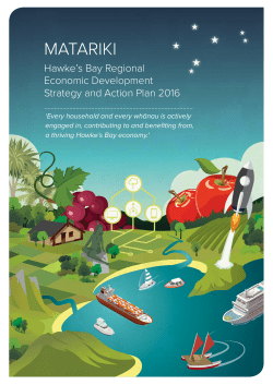 matariki - Hawke`s Bay Regional Economic Development Strategy