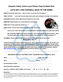 flickerflag football form