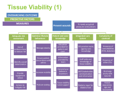 Tissue Viability - Southern Health NHS Foundation Trust
