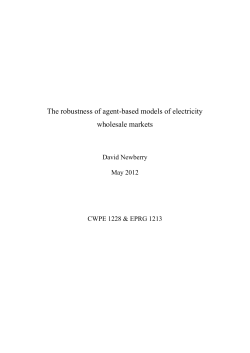 The robustness of agent-based models of electricity wholesale