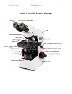 Microscope Training
