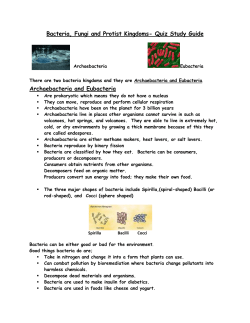Archaebacteria and Eubacteria