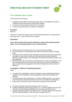 The vertebrate heart in action