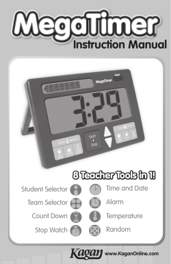 MegaTimer&trade; Instruction Manual