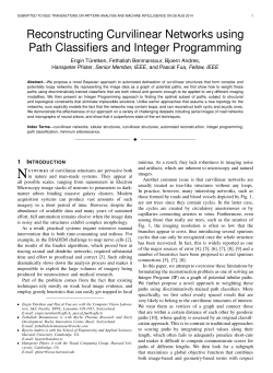 Reconstructing Curvilinear Networks using Path Classifiers and