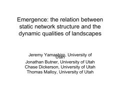 the relation between static network structure and