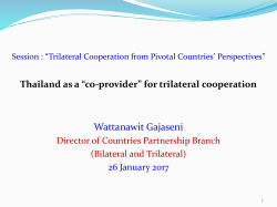 PPT - NIDC Network for International Development Cooperation