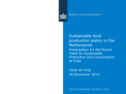Presentation made by Joost de Jong