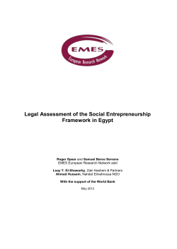 Section 2. Legal assessment of social enterprise framework in Egypt