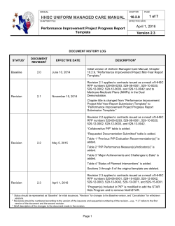 (PIP) Progress Report Template