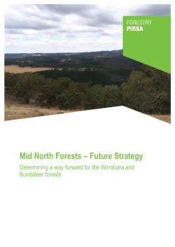 Mid North Forests – Future Strategy