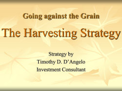 Static Asset Allocation