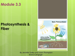 Fiber - HCC Learning Web