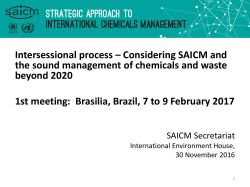 Intersessional process &ndash; Considering SAICM and the sound