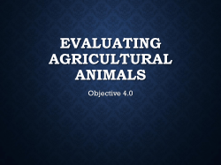 Understanding Quality Features of Beef, Pork, and Poultry
