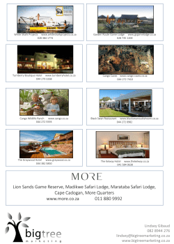 Big Tree Marketing Full Portfolio Summary