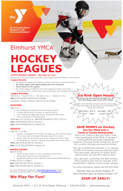 HOCKEY LEAGUES