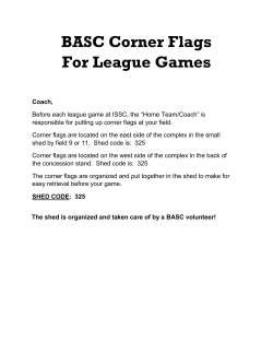 BASC Corner Flags For League Games