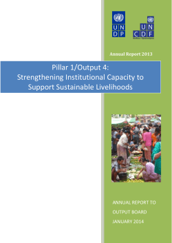 Pillar 1/Output 4