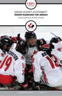 SLEDGE HOCKEY ACCESSIBILITY:
