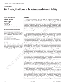 SMC Proteins, New Players in the Maintenance of Genomic Stability