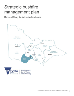 the Strategic Bushfire Management Plan