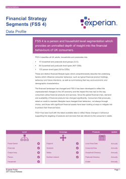 Financial Strategy Segments