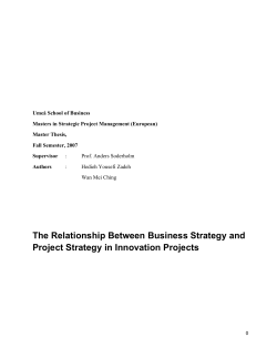 The Relationship Between Business Strategy and