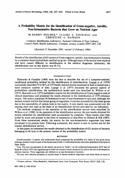 A Probability Matrix for the Identification of Gram