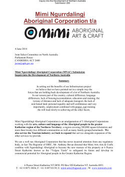 Mimi Ngurrdalingi Aboriginal Corporation t/a