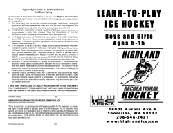 learn-to-play ice hockey