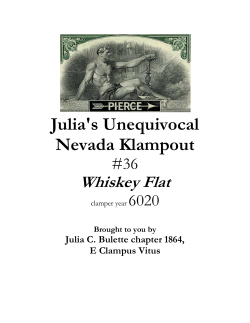 2015 tim pierce, whiskey flat - Julia C Bulette Chapter 1864