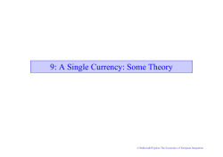 Single Currency. Some Theory